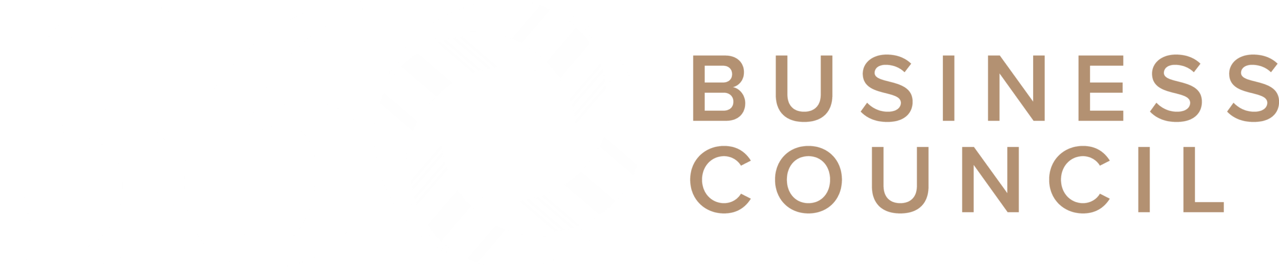 360 Business Council